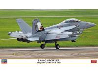 Hasegawa 1/72 EA-18G GROWLER 'VAQ-134 GARUDAS 2024' (02487)  - i0